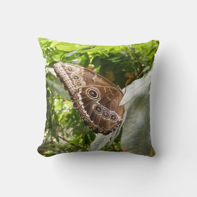 Morpho Butterfly Cushion (Front)