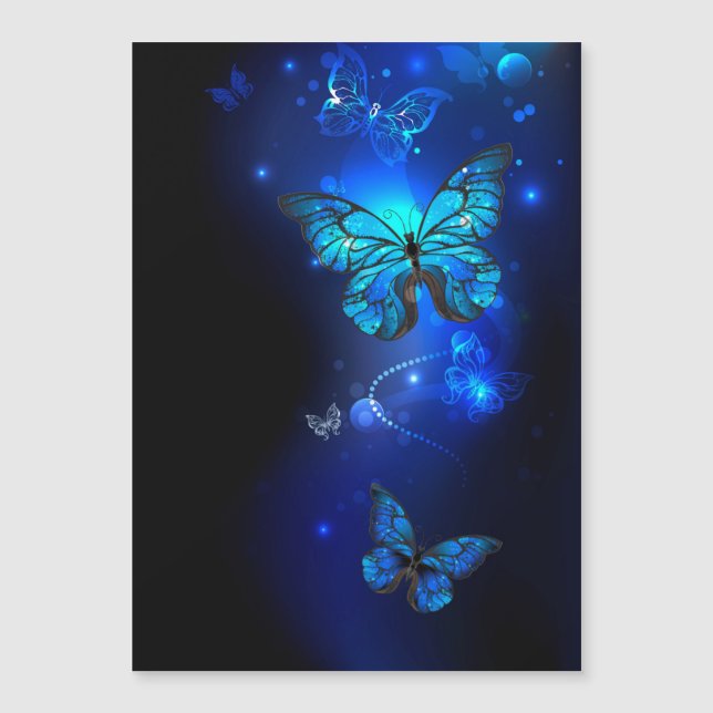 Morpho Butterfly in the Dark Background (Front)