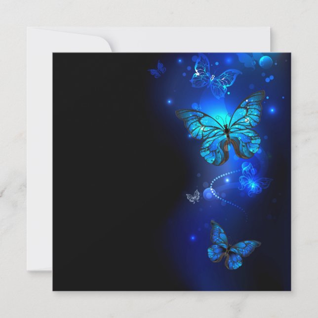 Morpho Butterfly in the Dark Background Announcement (Front)