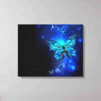 Morpho Butterfly in the Dark Background