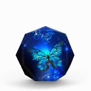 Morpho Butterfly in the Dark Background Photo Block