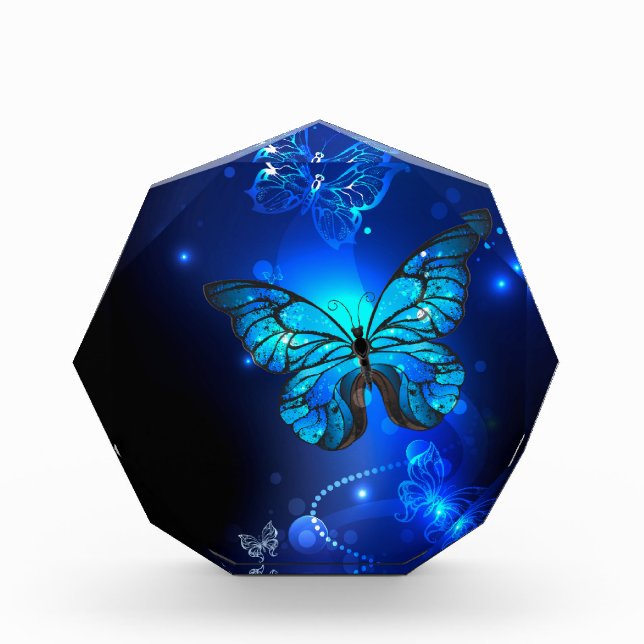 Morpho Butterfly in the Dark Background Photo Block (Front)