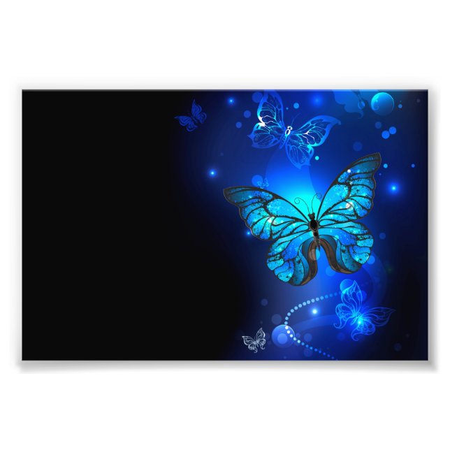 Morpho Butterfly in the Dark Background Photo Print (Front)
