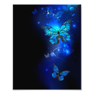 Morpho Butterfly in the Dark Background Photo Print