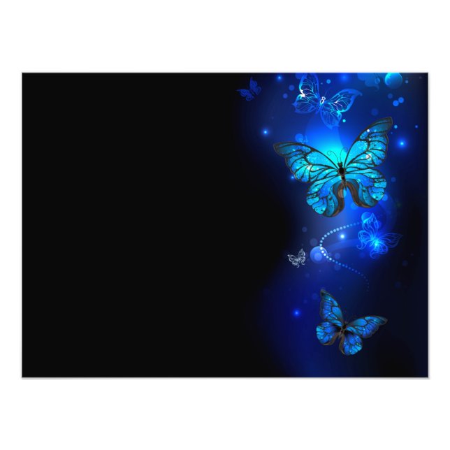 Morpho Butterfly in the Dark Background Photo Print (Front)