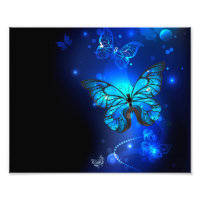 Morpho Butterfly in the Dark Background