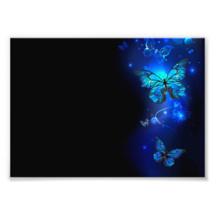Morpho Butterfly in the Dark Background Photo Print