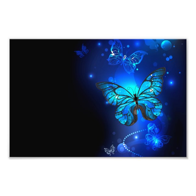 Morpho Butterfly in the Dark Background Photo Print (Front)
