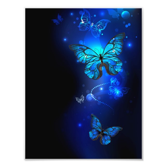 Morpho Butterfly in the Dark Background Photo Print (Front)
