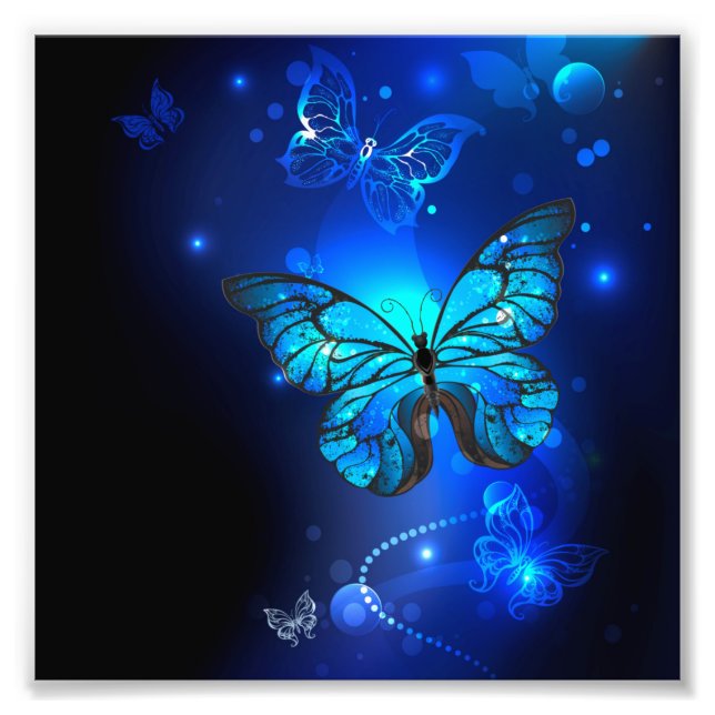 Morpho Butterfly in the Dark Background Photo Print (Front)