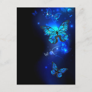 Morpho Butterfly in the Dark Background Postcard