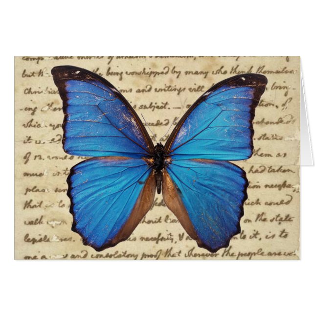 Morpho Butterfly on Vintage Handwriting Note Card (Front Horizontal)