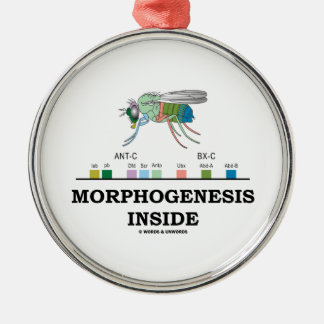 Morphogenesis Inside Drosophila Fruit Fly Genes Metal Tree Decoration