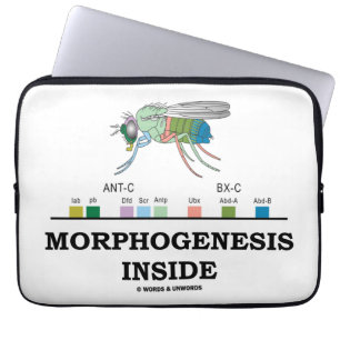 Morphogenesis Inside (Drosophila Homeobox Genes) Laptop Sleeve