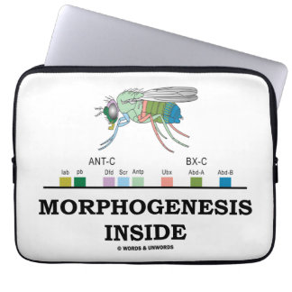 Morphogenesis Inside (Drosophila Homeobox Genes) Laptop Sleeve