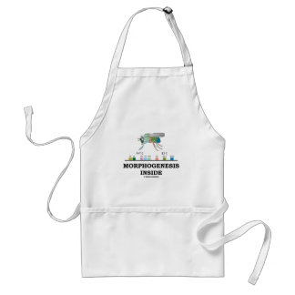 Morphogenesis Inside (Fruit Fly Drosophila Genes) Standard Apron