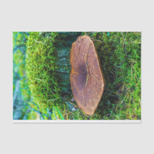 Morrel mushroom green nature grass tissue paper