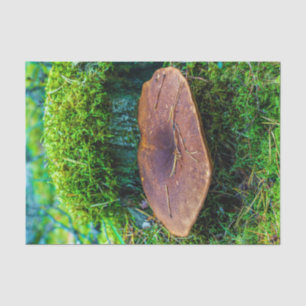 Morrel mushroom green nature grass  tissue paper