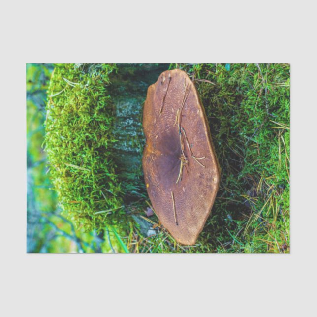Morrel mushroom green nature grass  tissue paper (Front)