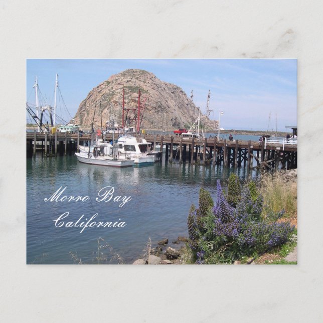 Morro Bay Fishing Dock, California Postcard (Front)