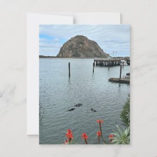 Morro Bay Rock with Otters Postcard