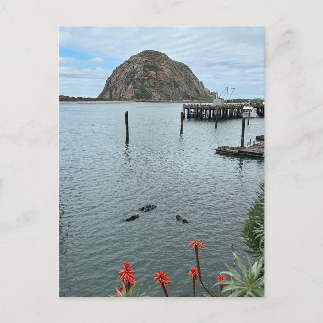 Morro Bay Rock with Otters Postcard (Front)
