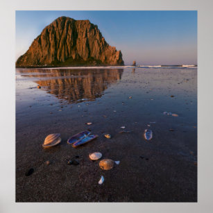 Morro Rock Reflecting In Wet Sand Poster