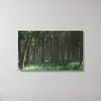 Morrow Grove (Spring) Canvas Print