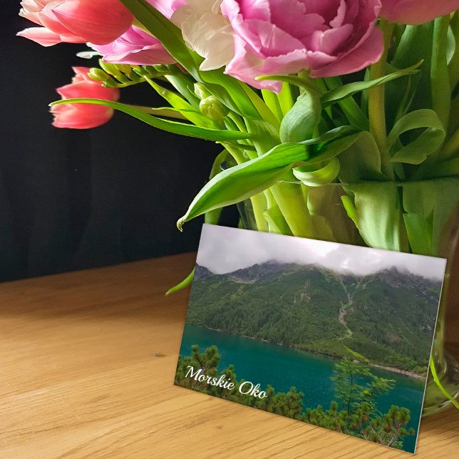 Morskie Oko, lake in the Tatra Mountains Poland Holiday Postcard (Creator Uploaded)