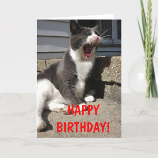 Morty Birthday Card