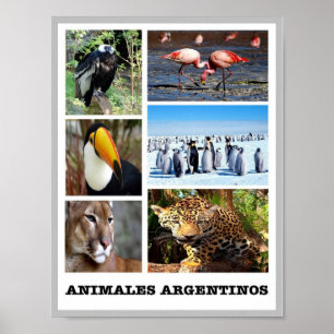 Mosaic Animales Argentinos - Poster