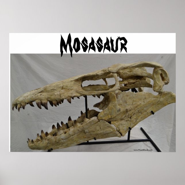 Mosasaur Poster (Front)