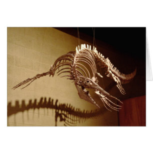 Mosasaur - "Sea Lizard"