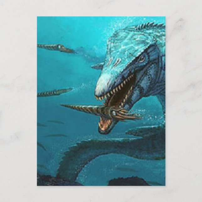 Mosasaurus hunting  postcard (Front)