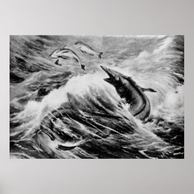 Mosasaurus Prehistoric Animal Antique Print (Front)