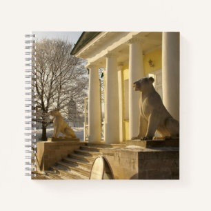 Moscow. Winter. lion sculpture. Notebook