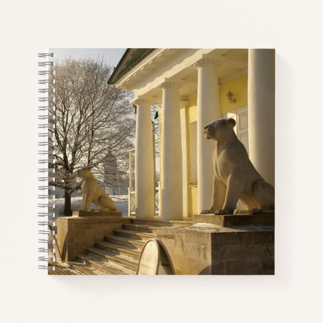 Moscow. Winter. lion sculpture. Notebook (Front)