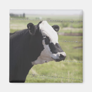 Moseleigh, Alberta, Canada Magnet