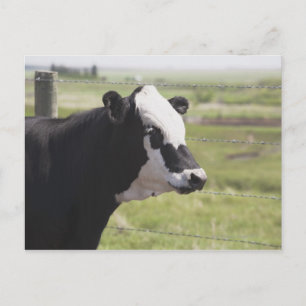 Moseleigh, Alberta, Canada Postcard