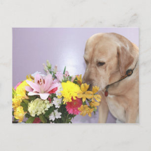 Moses Smells Flowers Postcard