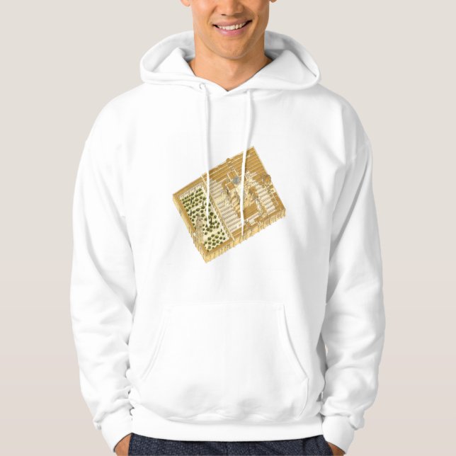 Mosque of Cordoba Spain. Aerial view Hoodie (Front)