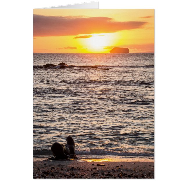 Mosquera Islet Sunset (Front)