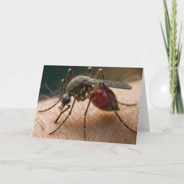 Mosquito Birthday Humour Card (Front)