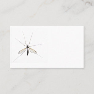 Mosquito Business Card