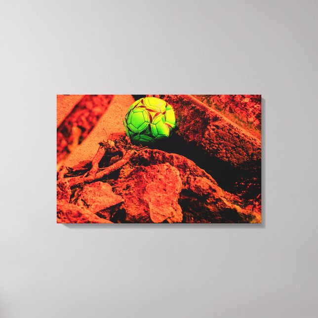 mosquito explorer canvas print (Front)