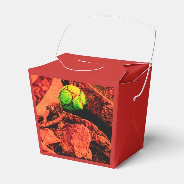 mosquito explorer favour box (Front Side)