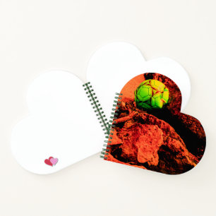 mosquito explorer notebook