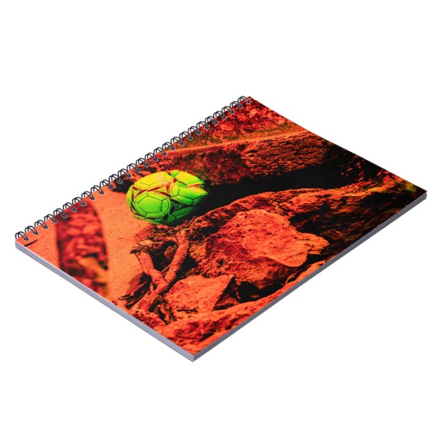 mosquito explorer notebook (Left Side)