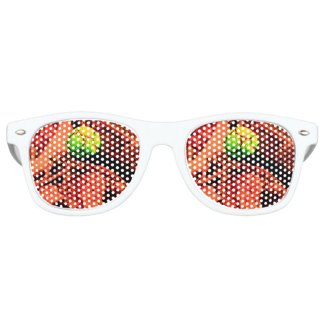 mosquito explorer retro sunglasses (Front)