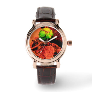 mosquito explorer watch